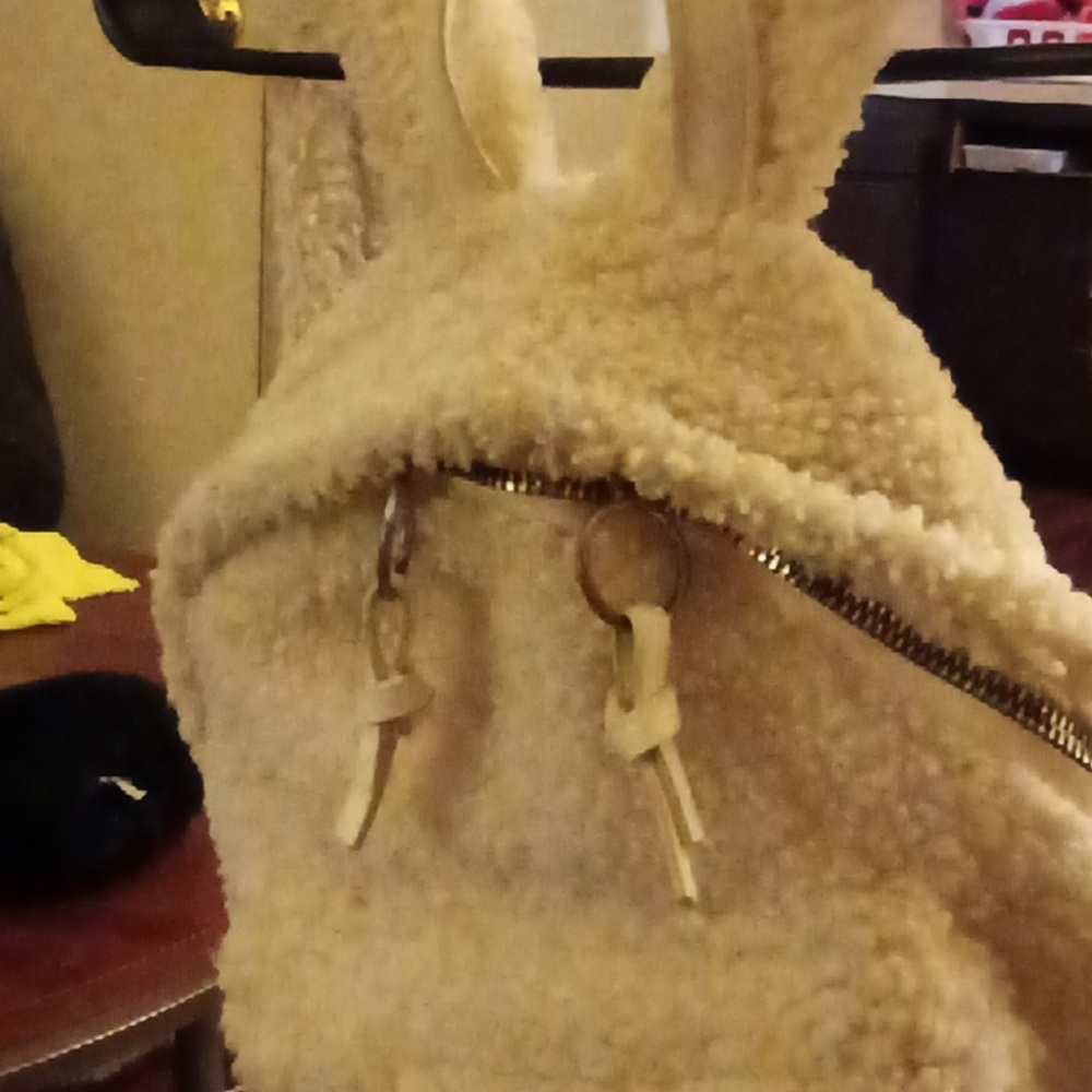 Back pack